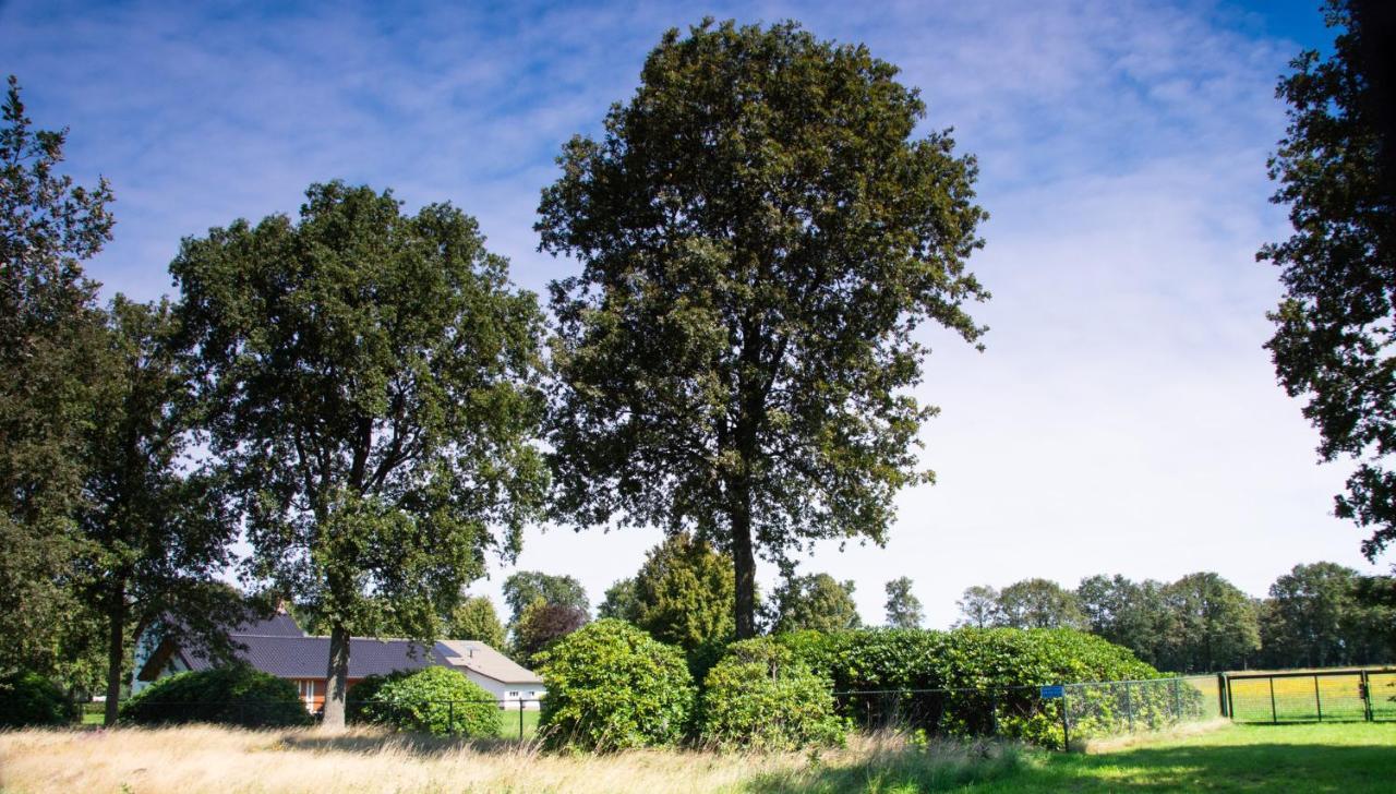 Bed And Breakfast Lindershoeve Bergeijk Luaran gambar